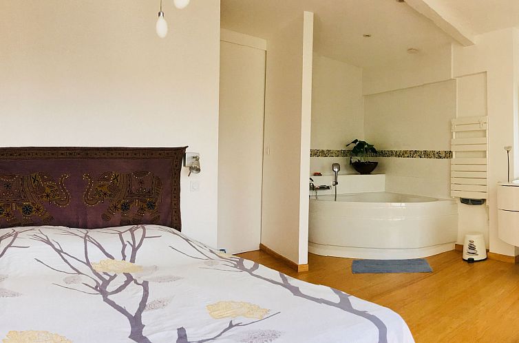 Vakantiehuis Haus mit Pool im Zentrum von Toulouse