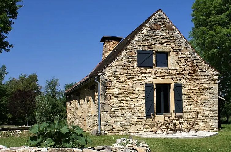 Sous le vieux chêne