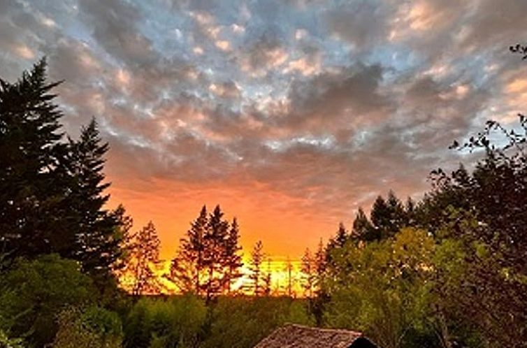 Unterkunft 04926208 - Ferienhaus Midi-Pyrenees - Vakantiehuisje in Les Arques