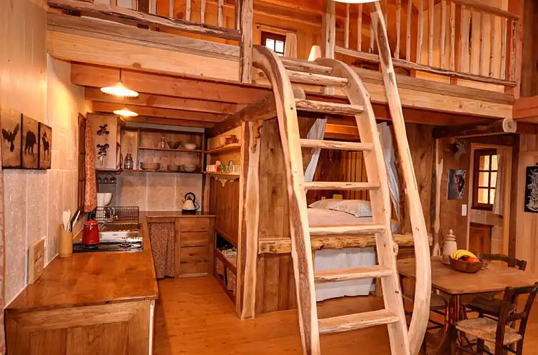 Unterkunft 04926815 - Chalet Midi-Pyrenees - Le nid de l'écureuil