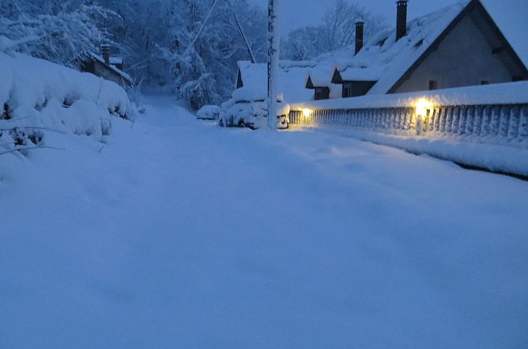 Vakantiehuis Chalet Viscos 3 Schlafzimmer 2 Badezimmer