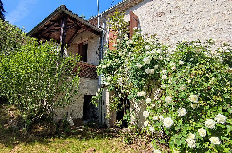 Unterkunft 04931021 - Ferienhaus Midi-Pyrenees - Vrijstaande woning in Tréjouls