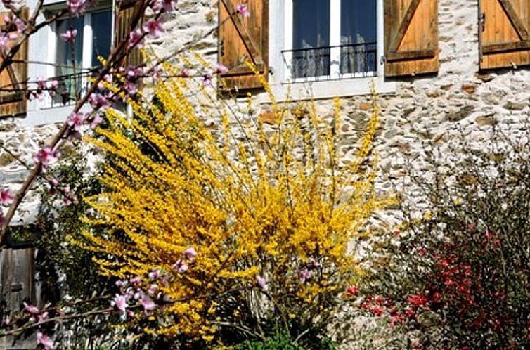 Vakantiehuisje in MONTREDON-LABESSONNIE