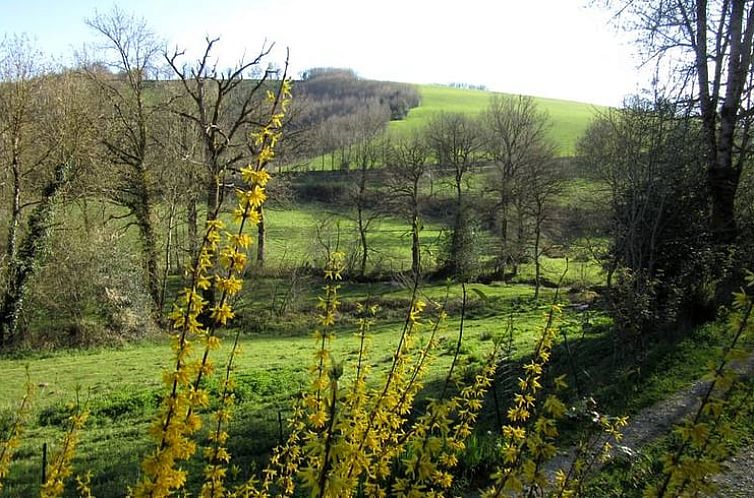 Vakantiehuisje in MONTREDON-LABESSONNIE