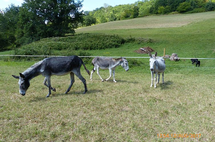 Vakantiehuis La Ferme des Paons