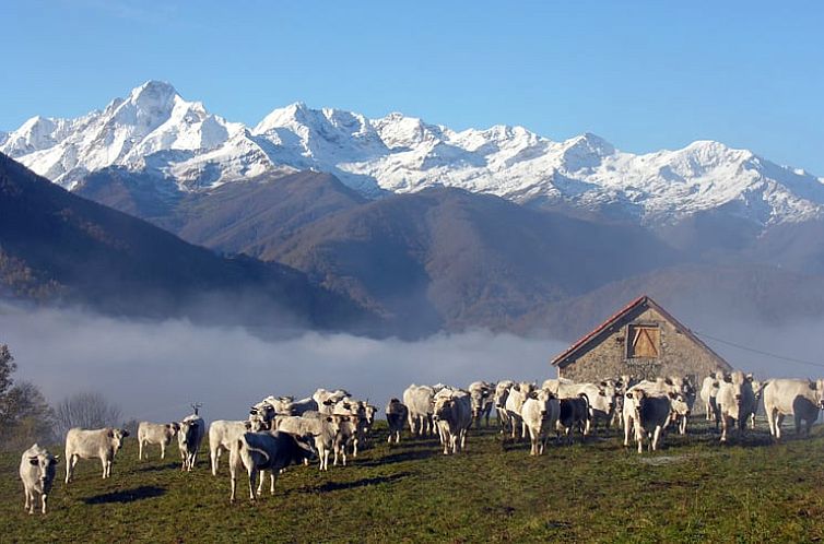 Vakantiehuis in Oust
