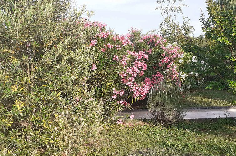 Vrijstaande woning in Montcuq