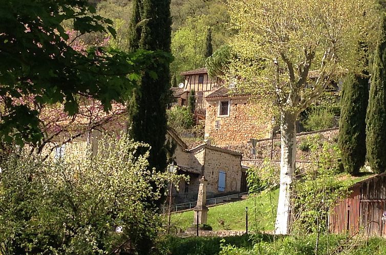 Anders in Larroque - Puycelsi (Tarn)