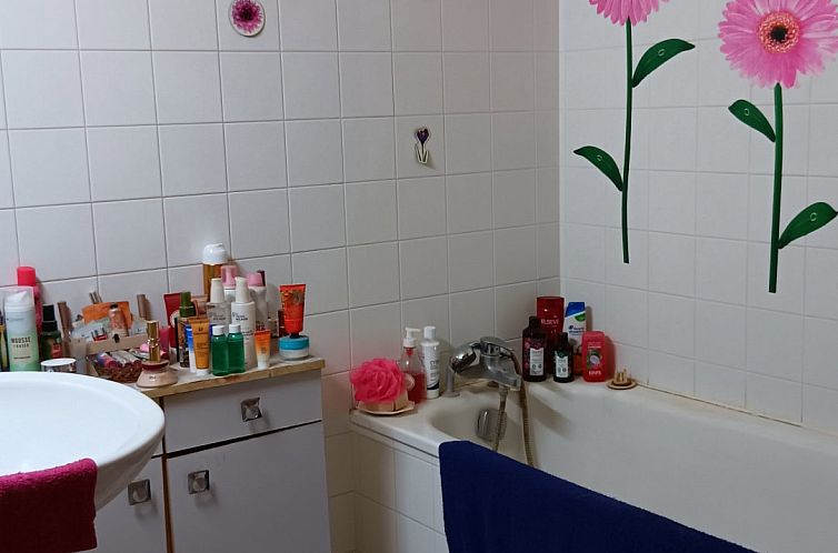 Vrijstaande woning in Bourg-De-Visa