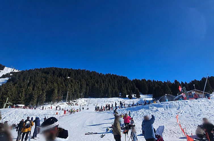 Appartement in Chatel