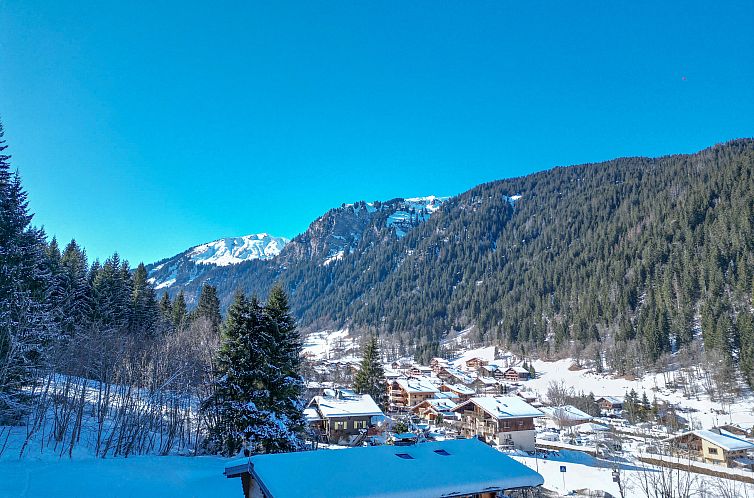 Chalet in Chatel