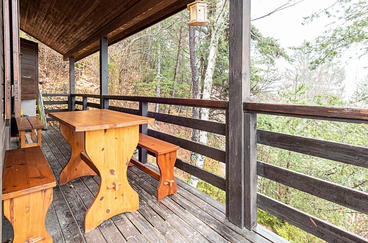 Vakantiehuis Les Cochettes