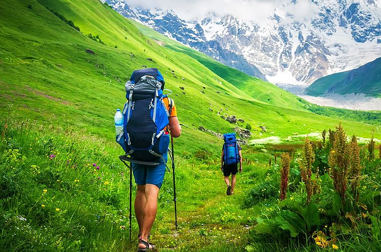 Vrijstaande woning in La Chapelle D'abondance