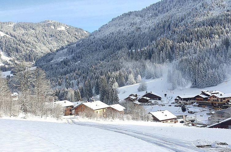 Chalet in Chatel