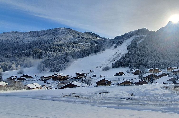 Chalet in Chatel