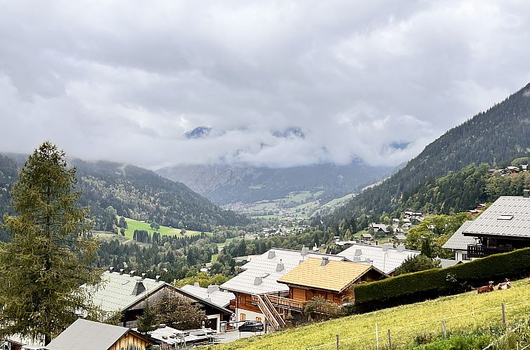 Chalet in Chatel