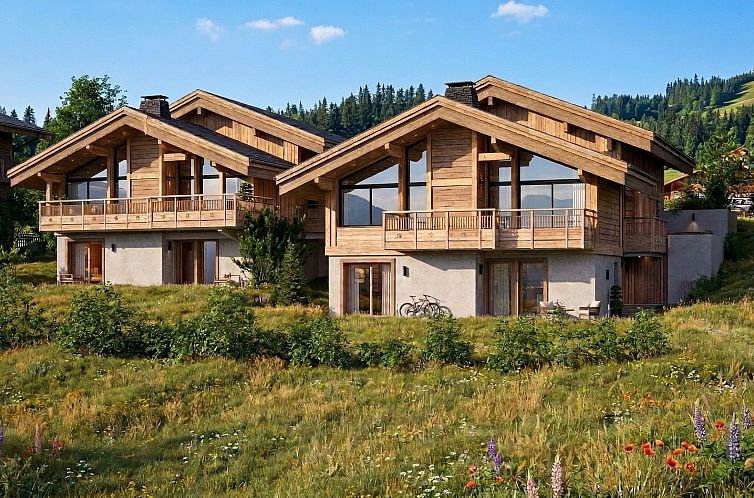 Chalet in Chatel