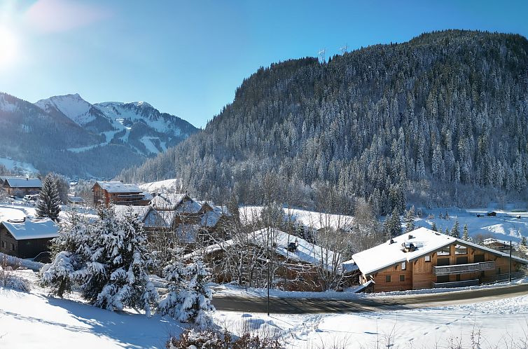 Chalet in Chatel