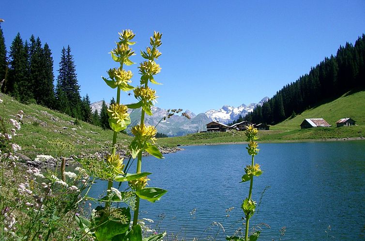 Appartement in Samoens