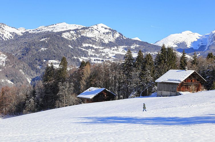 Appartement Grand Morillon