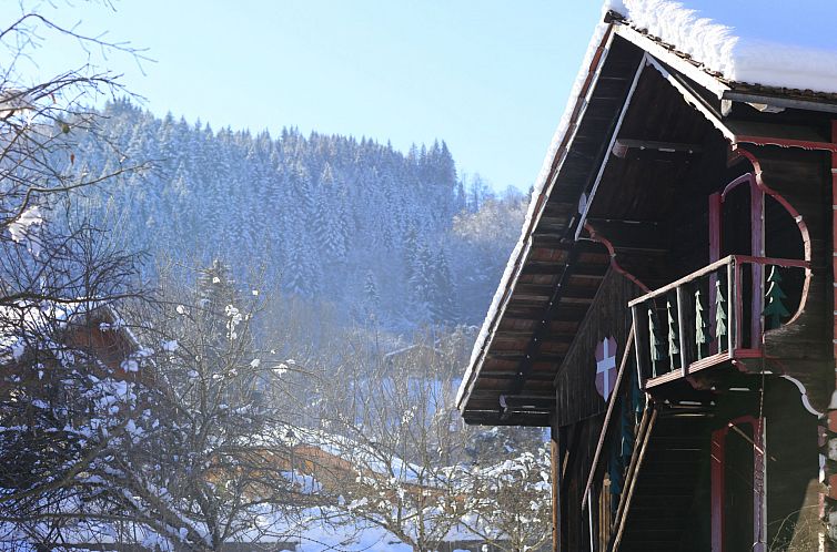 Appartement Grand Morillon