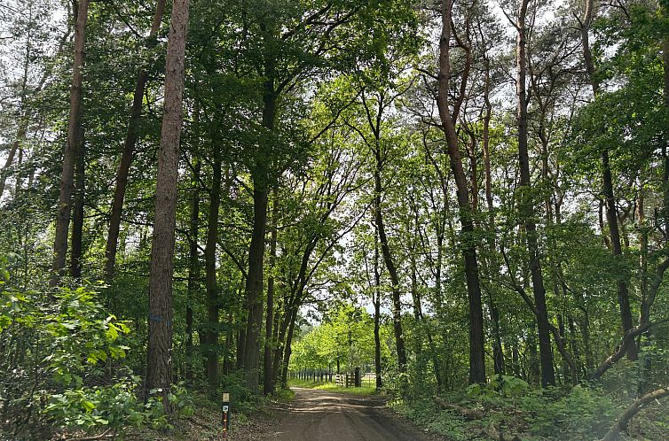 De Wachtkamer