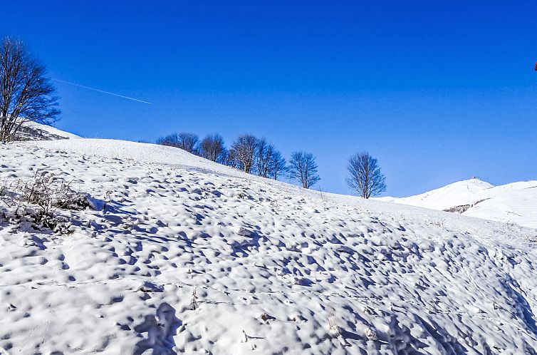 Appartement Bâtiment A