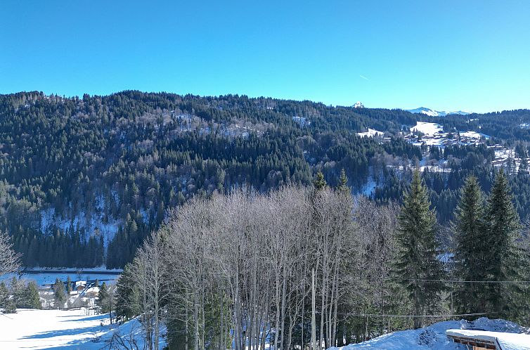Chalet in Les Gets