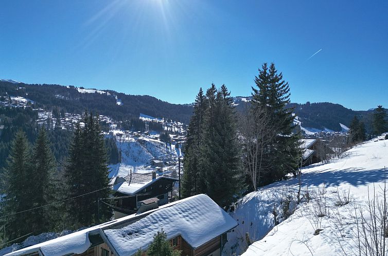 Chalet in Les Gets