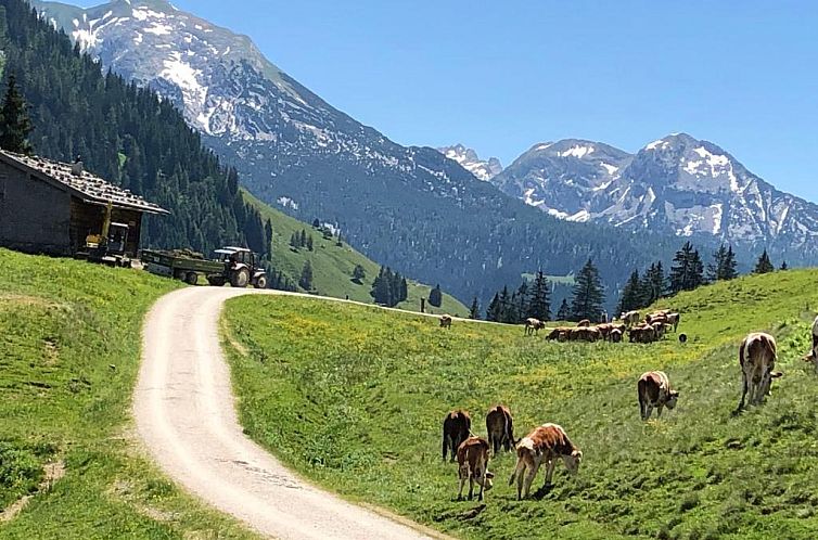 Landhaus Constantin Luxus-Appartments