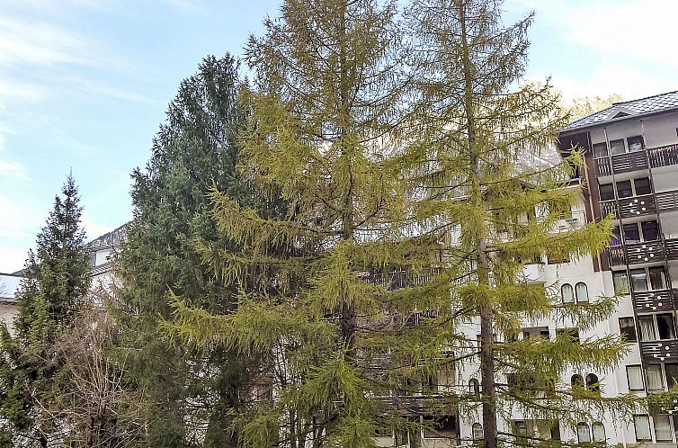 Appartement Jonquilles