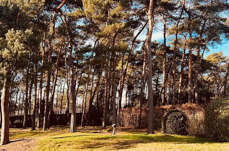 Vakantievilla ’t Boshuys