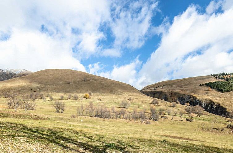 Appartement Les Tetras