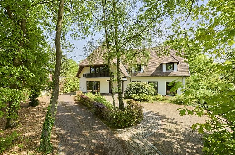 Villa Bosrijk in Lommel, Belgien, umgeben von gruener Natur und einer einladenden Auffahrt.