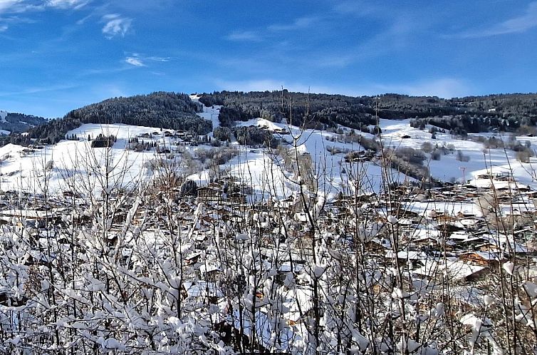 Chalet in Megeve
