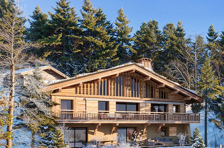 Chalet in Megeve