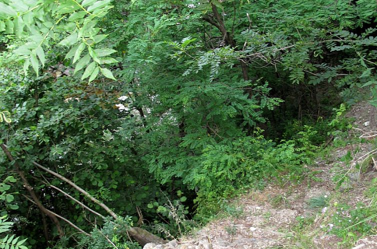 Vakantiehuis Les Galets