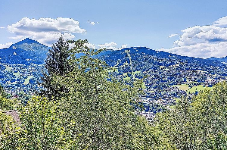 Appartement Chalet le Prarion