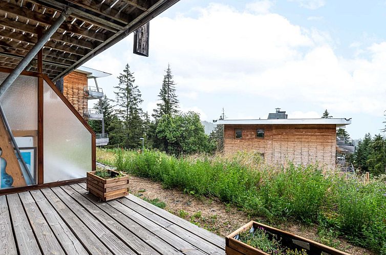 Appartement V du Bachat SILENE A