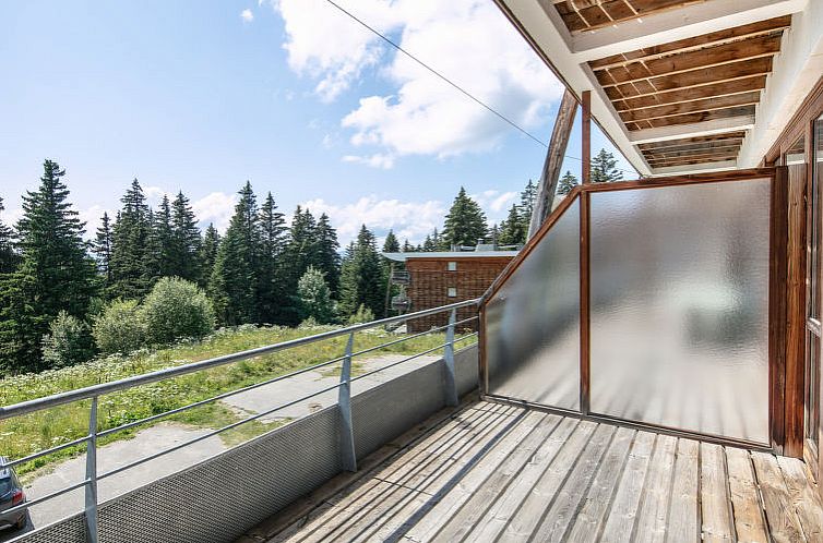 Appartement V du Bachat JOUBARBES A