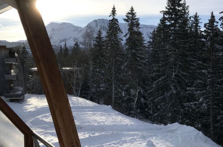 Appartement V du Bachat Asters B