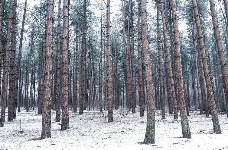 Huisje in Hechtel-Eksel