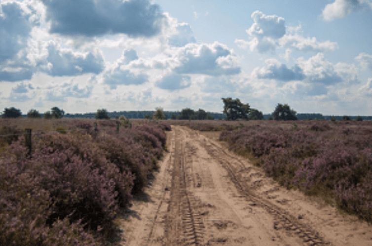 Huisje in Hechtel-Eksel