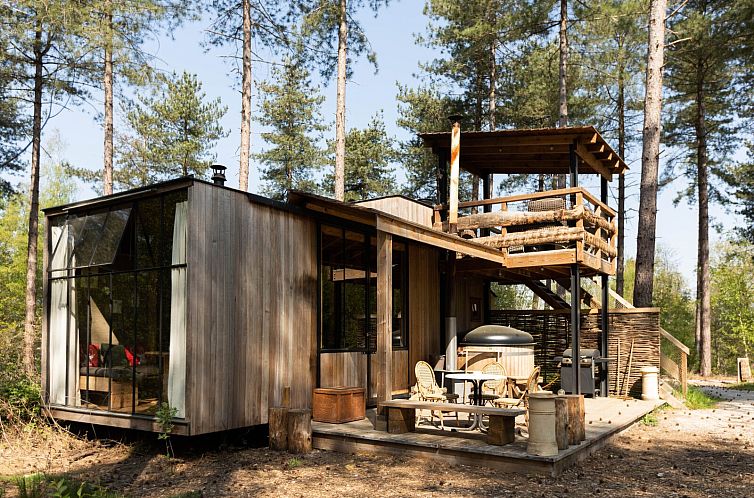 Treetrunk met hottub