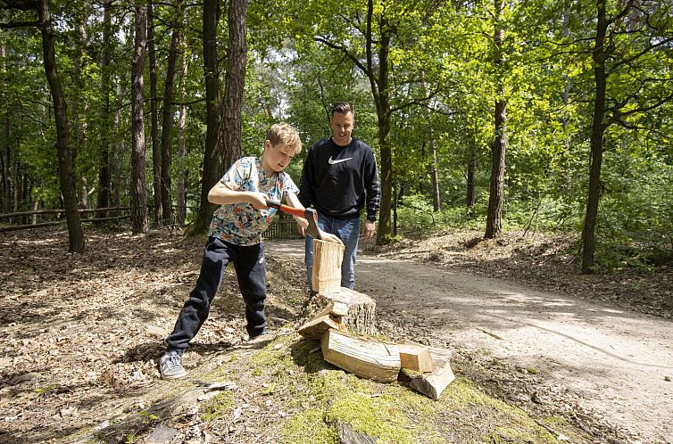 Treetrunk met hottub