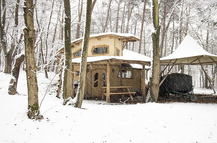 Hobbit House 2 in Neeroeteren, Belgium, vacation home with green roof and wooden veranda surrounded by trees.