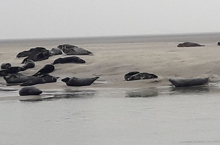 Appartement Le Refuge