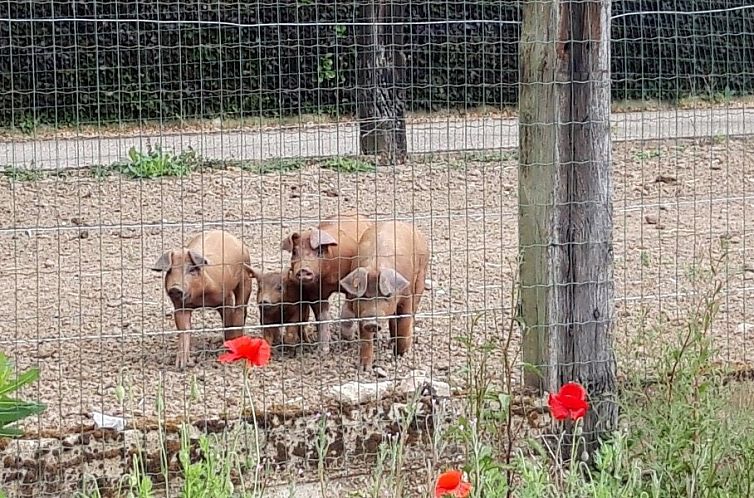De Lokroep