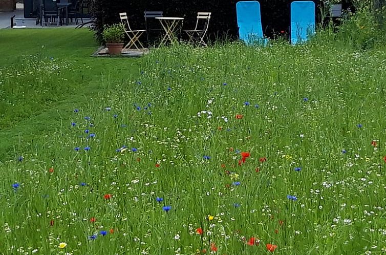 Vakantiehuis in Vechmaal