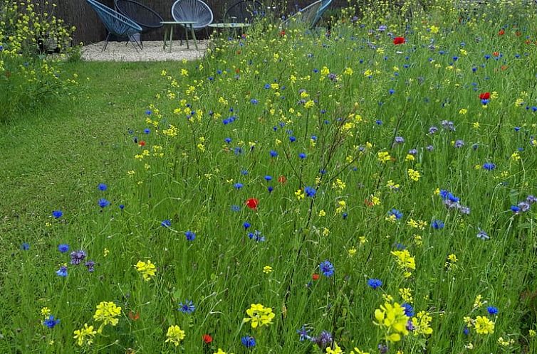 Vakantiehuis in Vechmaal